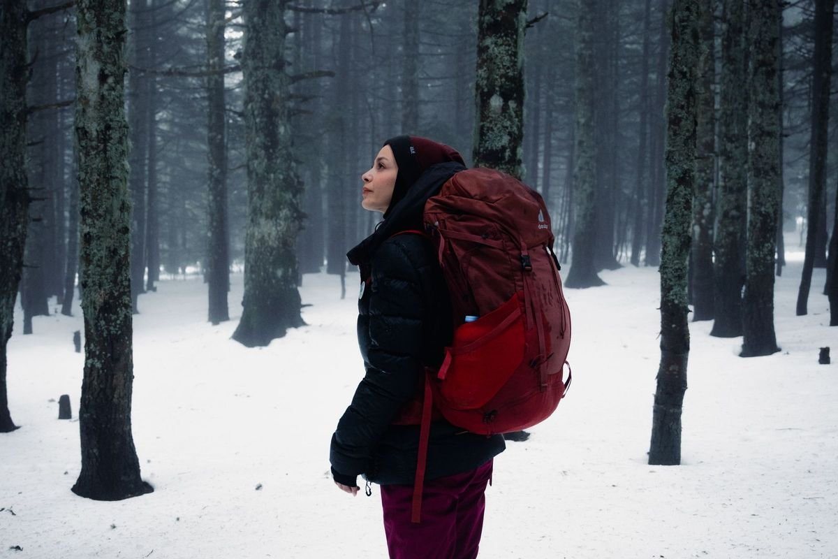 Winter hike through a snow-covered forest (representative photo, not the exact product)